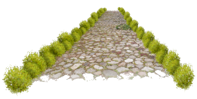 Тропинка на прозрачном фоне