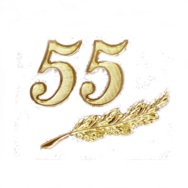 Красивые цифры 55