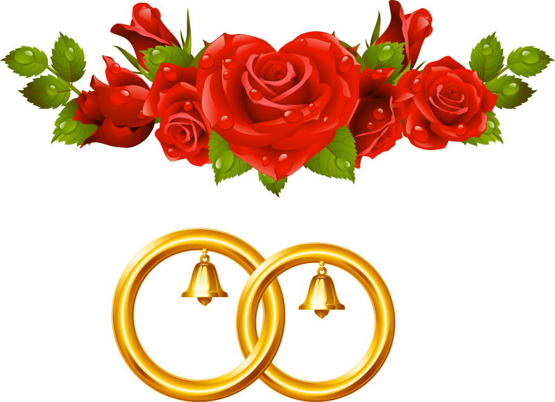 Свадебные кольца на прозрачном фоне