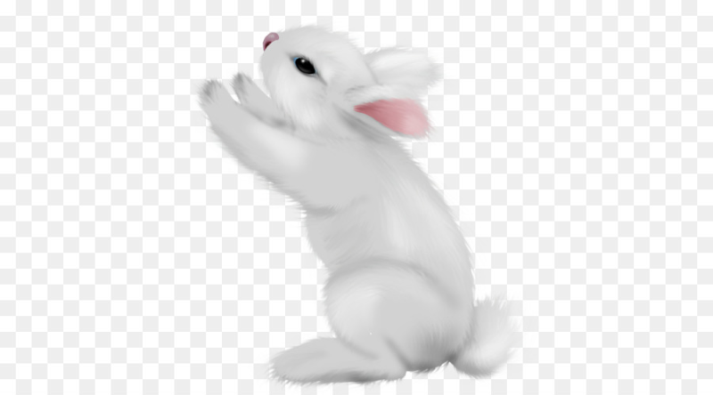 Зайчик на белом фоне