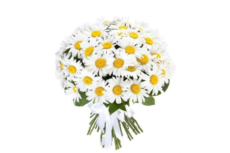 Букет ромашек картинки красивые