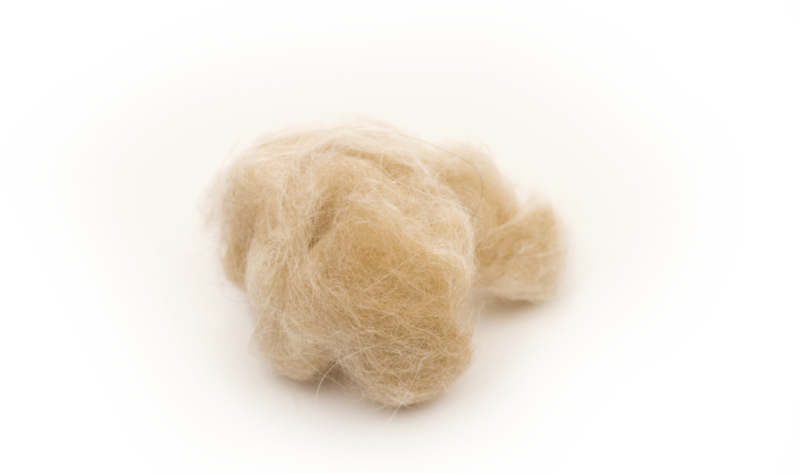 Клочок шерсти