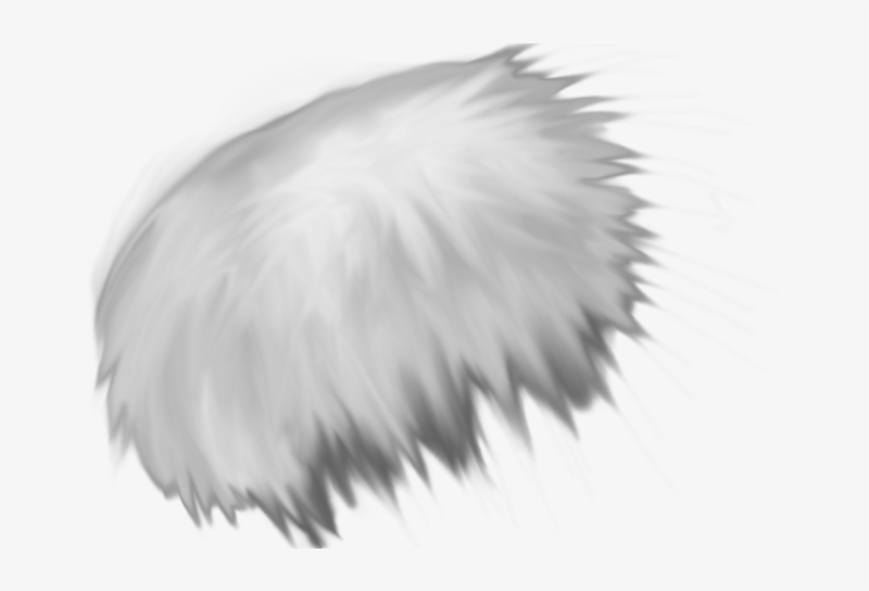 Шерсть на прозрачном фоне