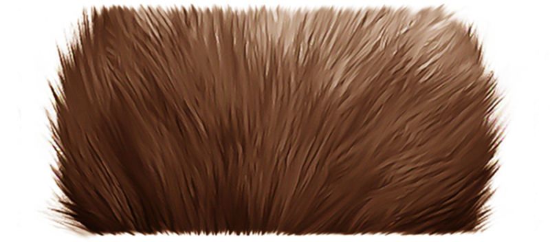 Шерсть на белом фоне