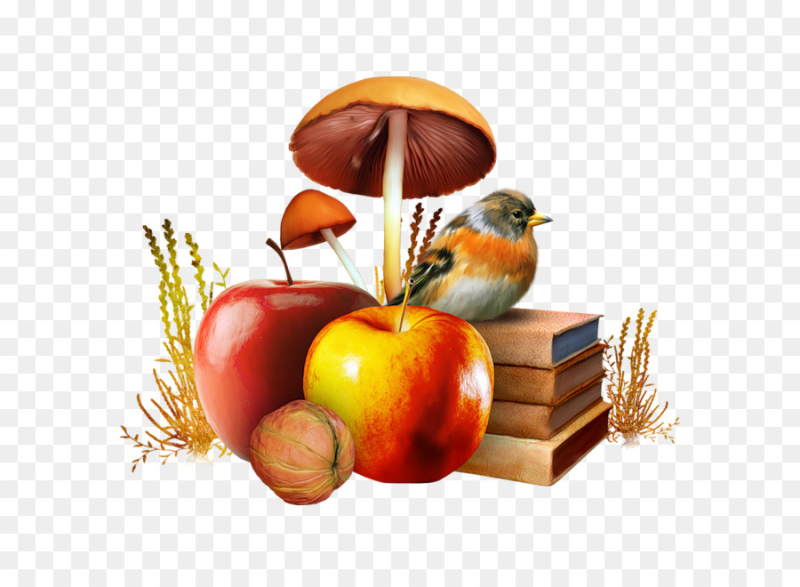 Осенний клипарт на прозрачном фоне