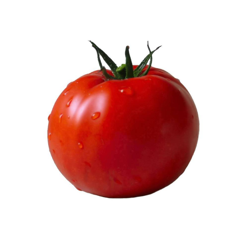 Томат на белом фоне