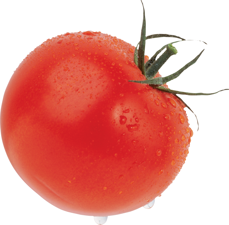 Помидор на прозрачном фоне