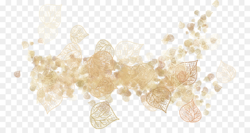 Декор на прозрачном фоне