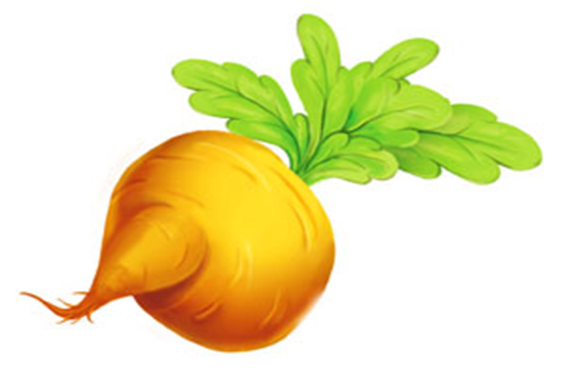 Репа для детей