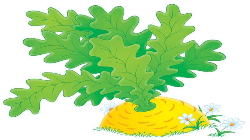 Листья Репки на голову