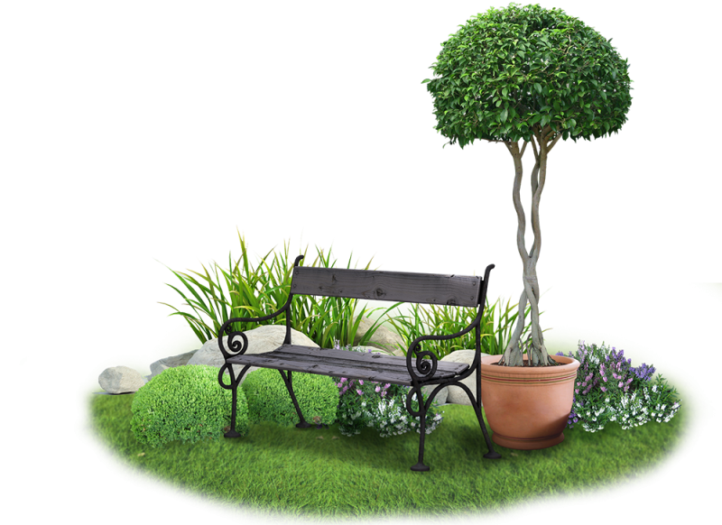 Растения для ландшафта