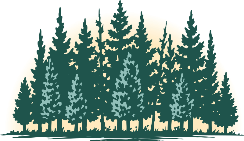 Деревья лес вектор