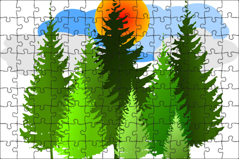 Лес на прозрачном фоне