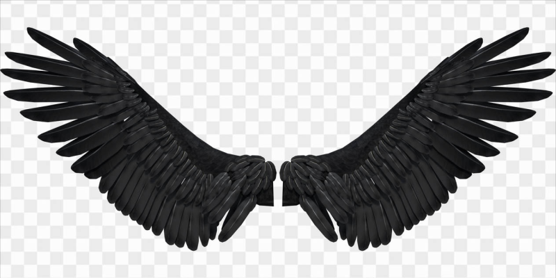 Крылья ангела черные