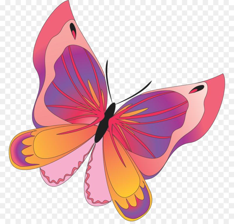 Бабочки детские