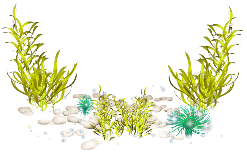 Морские растения