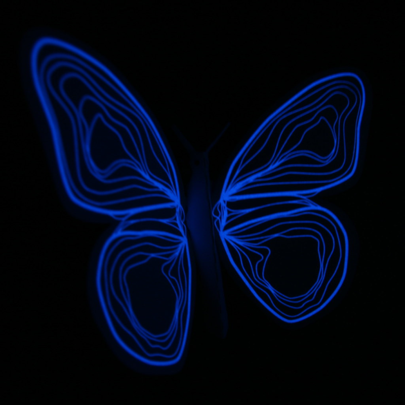 Крылья бабочки