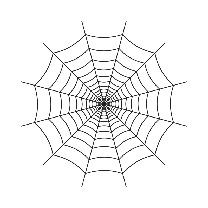 Паук на паутине