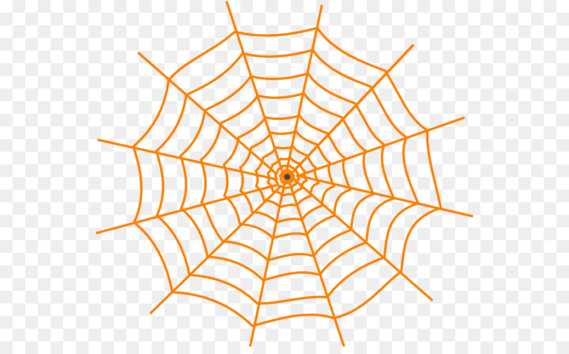 Паутина на прозрачном