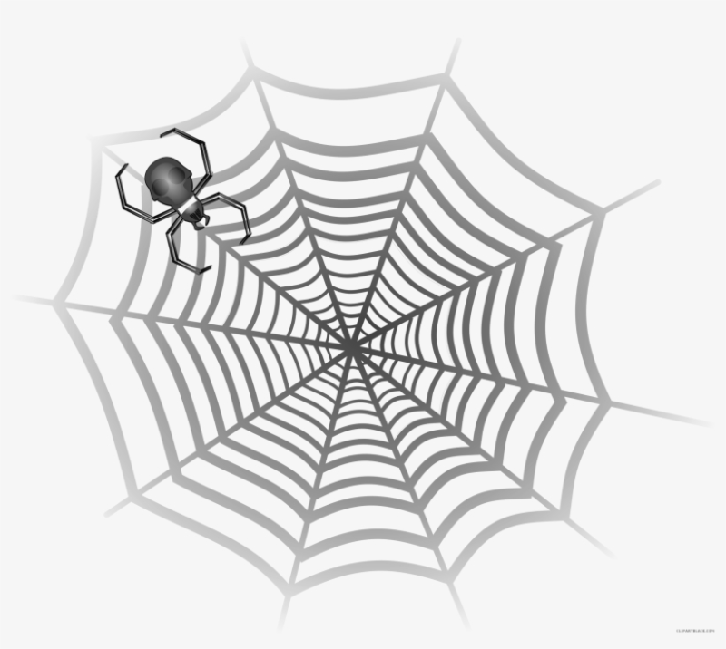 Паук на паутине рисунок карандашом