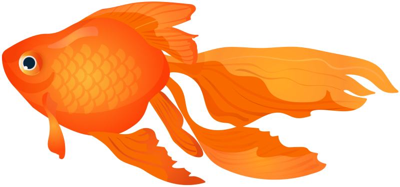 Рыбка на прозрачном фоне