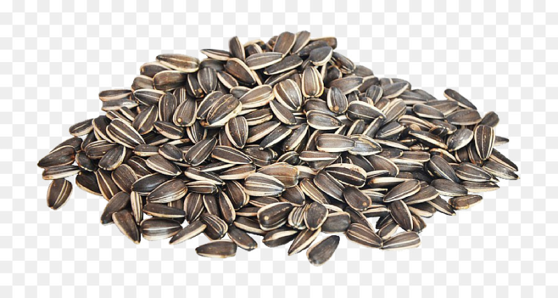 Семена подсолнечника