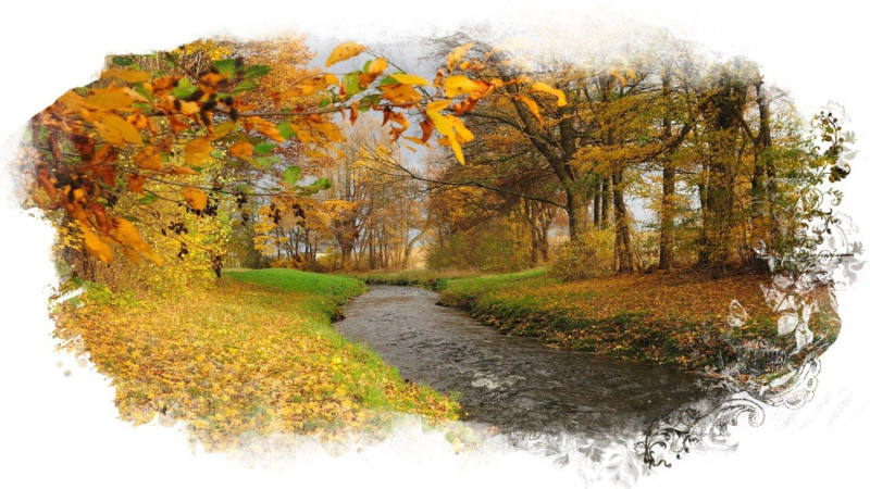 Осенние картинки на прозрачном фоне