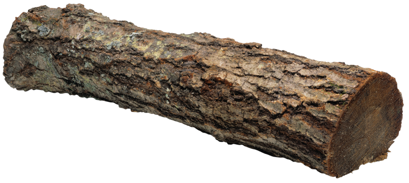 Кусок дерева