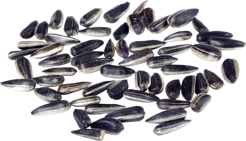 Семечки разбросаны