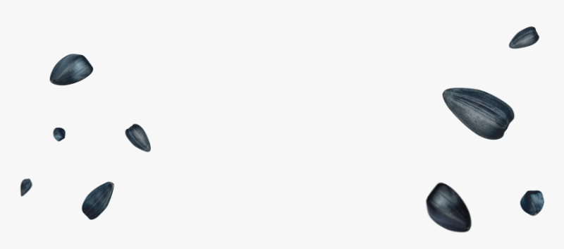 Семечки разбросаны