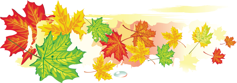 Осенние листья на прозрачном фоне