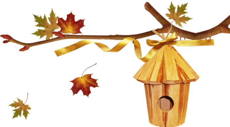 Осенние картинки для детей на прозрачном фоне