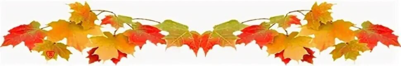 Лист в полоску