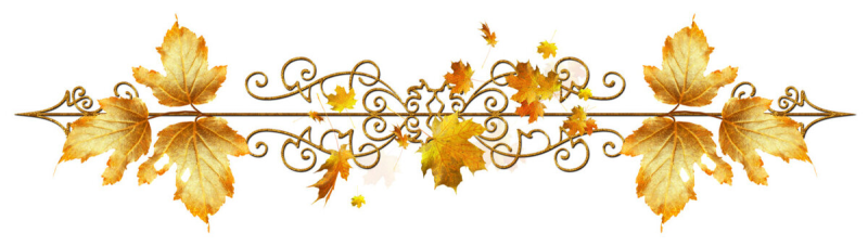 Орнамент из осенних листьев