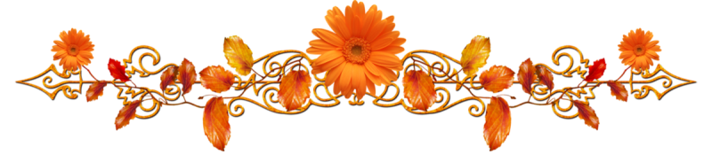 Цветочные бордюры на прозрачном фоне