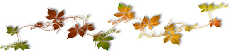 Линия из листьев