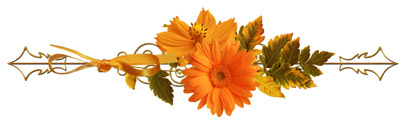 Цветочные бордюры на прозрачном фоне