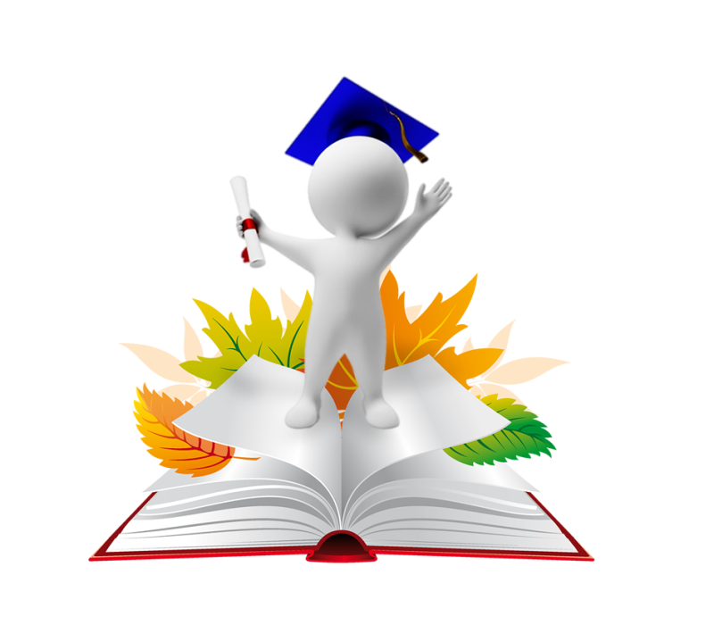 Образование человечки