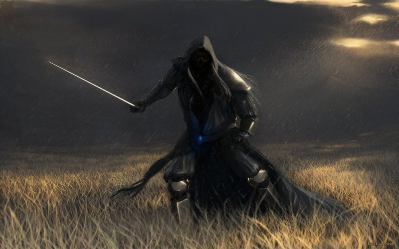 Ассасин воин тени