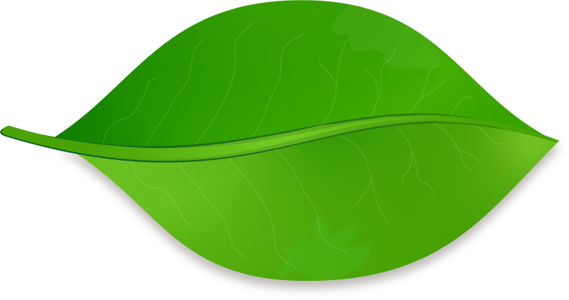 Зеленый листок