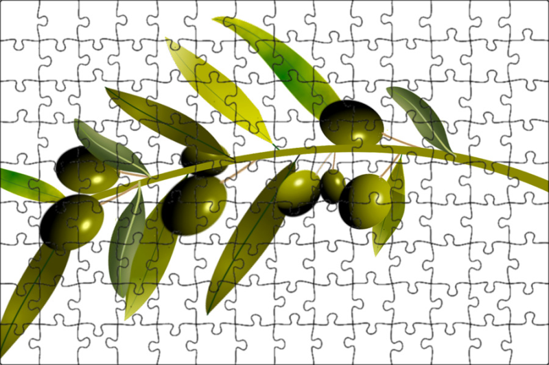Греческие ветки оливы