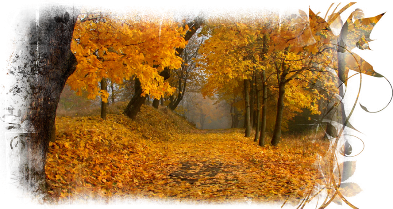 Осень анимация на прозрачном фоне
