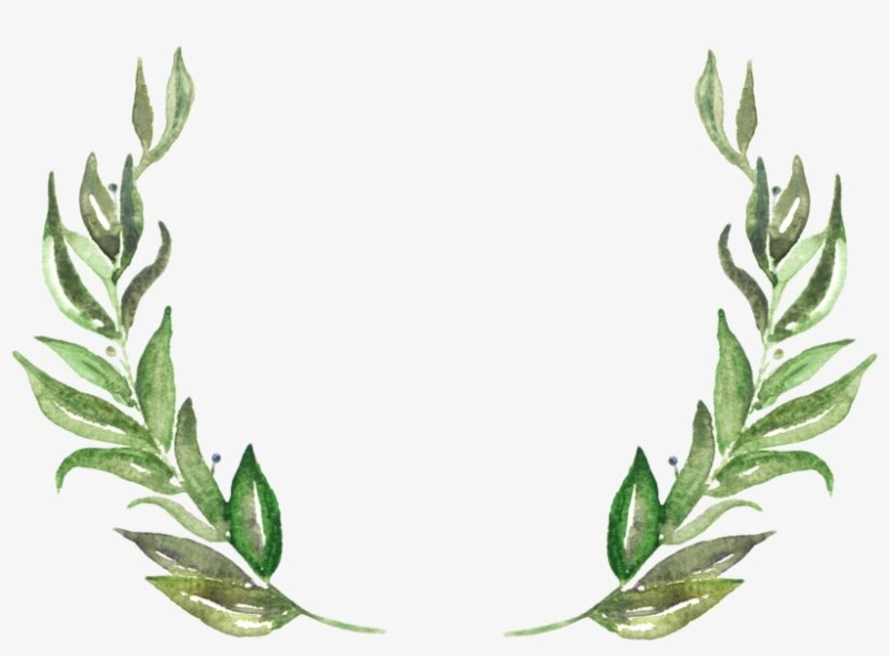 Акварельные веточки