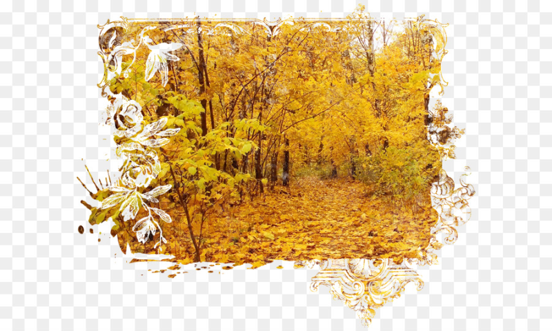 Золотая осень на прозрачном фоне