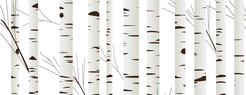 Фон ствол березы