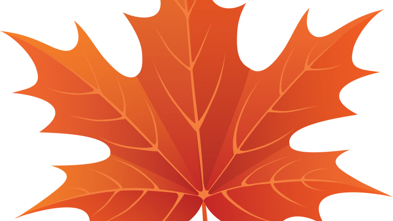 Осенние листья картинки
