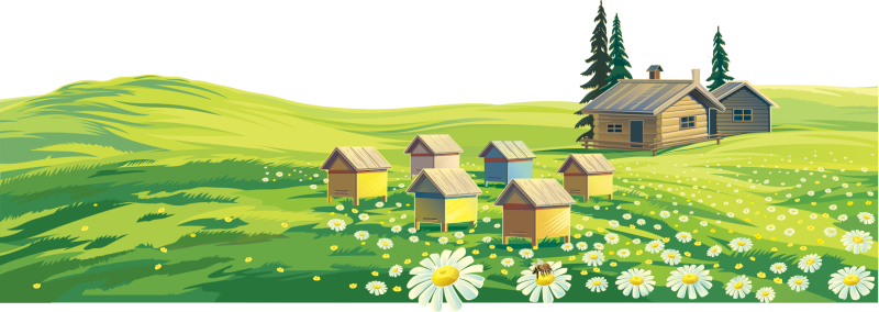 Векторные пейзажи деревни