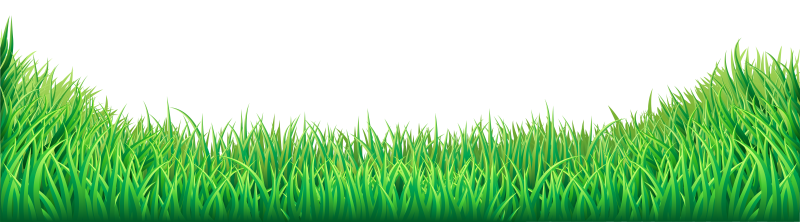 Трава на прозрачном фоне