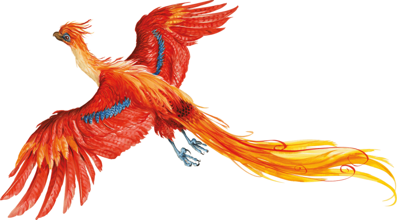 Фоукс Гарри Поттер