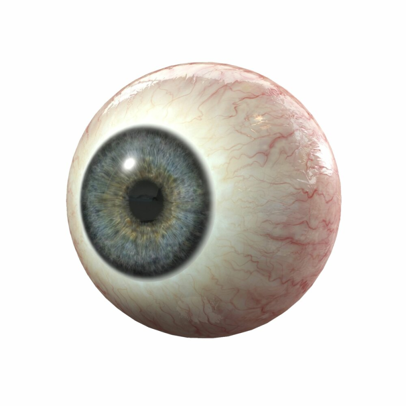 Круглые глаза